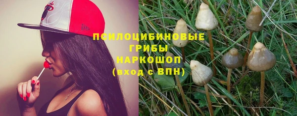 spice Алзамай