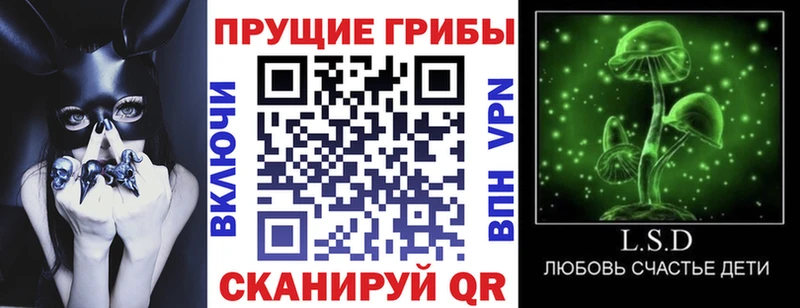 купить   ОМГ ОМГ ONION  Галлюциногенные грибы прущие грибы  Северская 