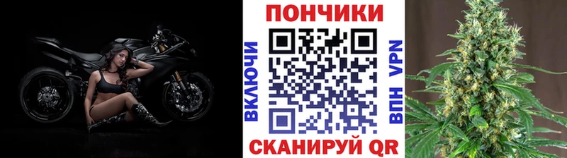 Бошки марихуана THC 21%  где продают   Северская 